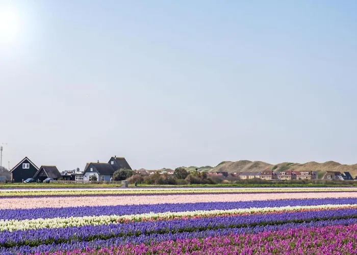 Near Dutch Coast With French Balcony Julianadorp
