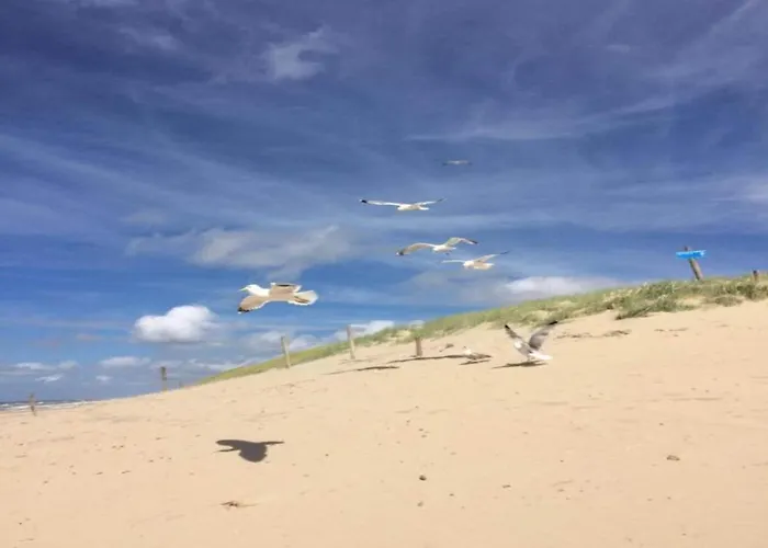 Apartment Near Dutch Coast With French Balcony *