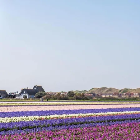 Near Dutch Coast With French Balcony Julianadorp