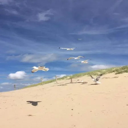 Διαμέρισμα Near Dutch Coast With French Balcony *